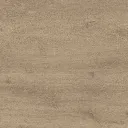 Hazelnut.webp