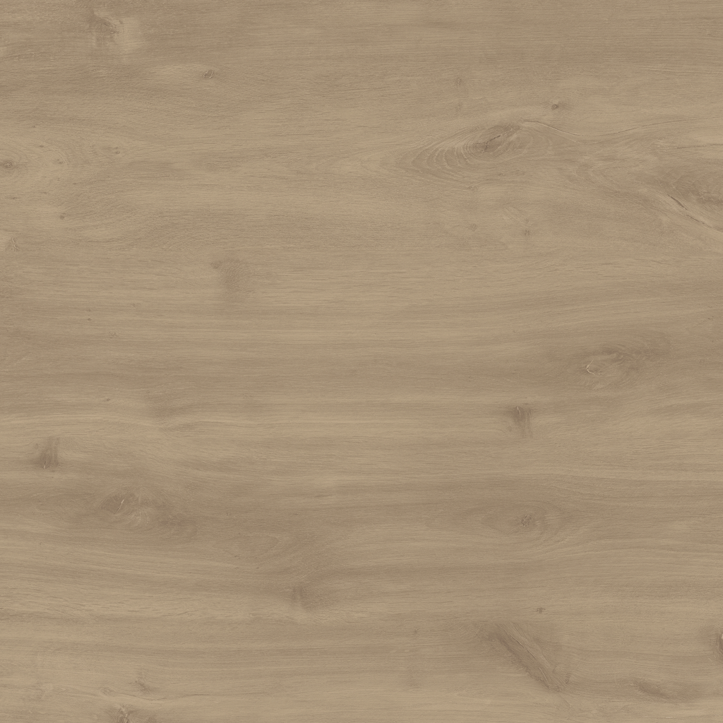 Hazelnut.png