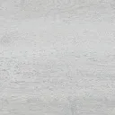 Foggy.webp