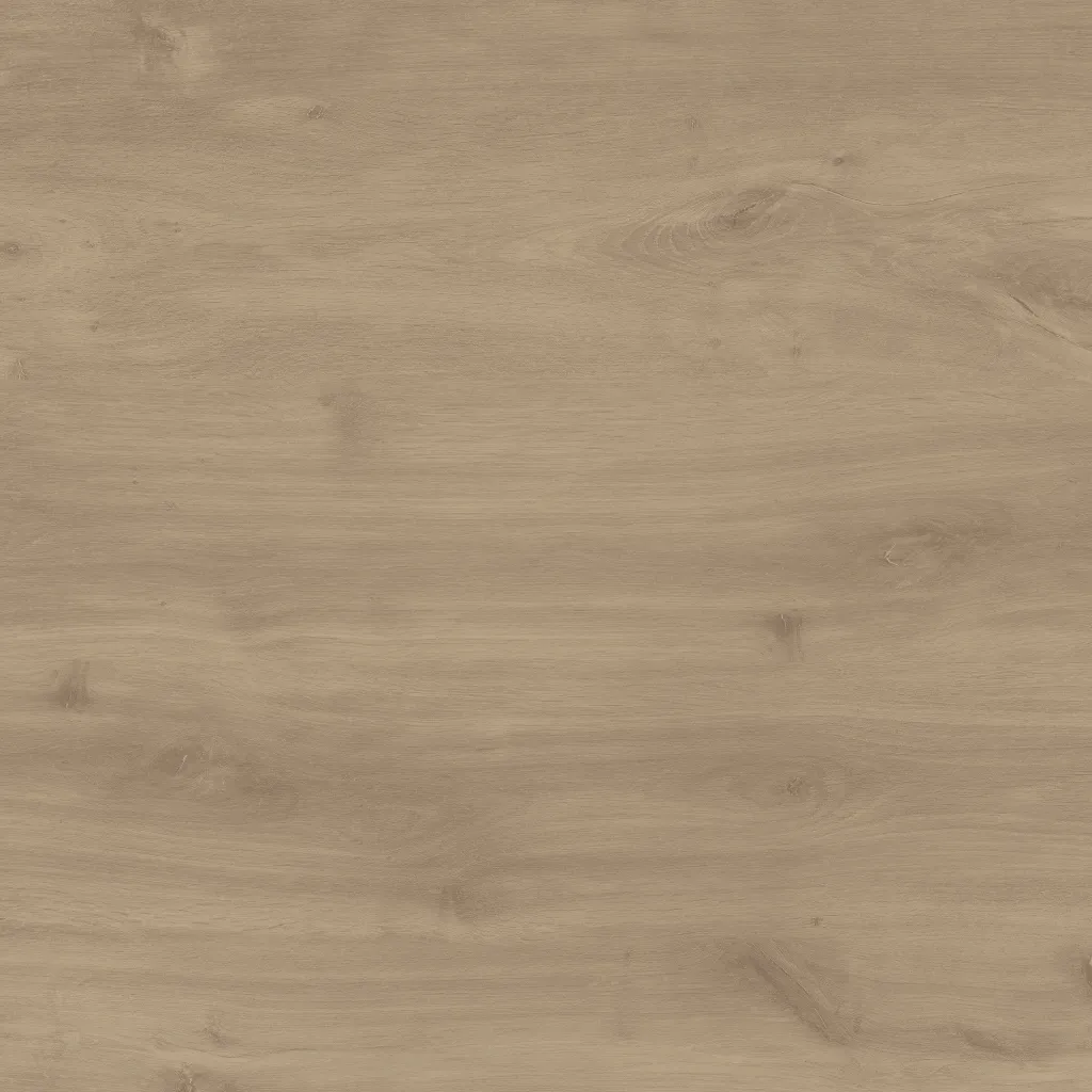 Hazelnut.webp