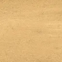 Zen.webp